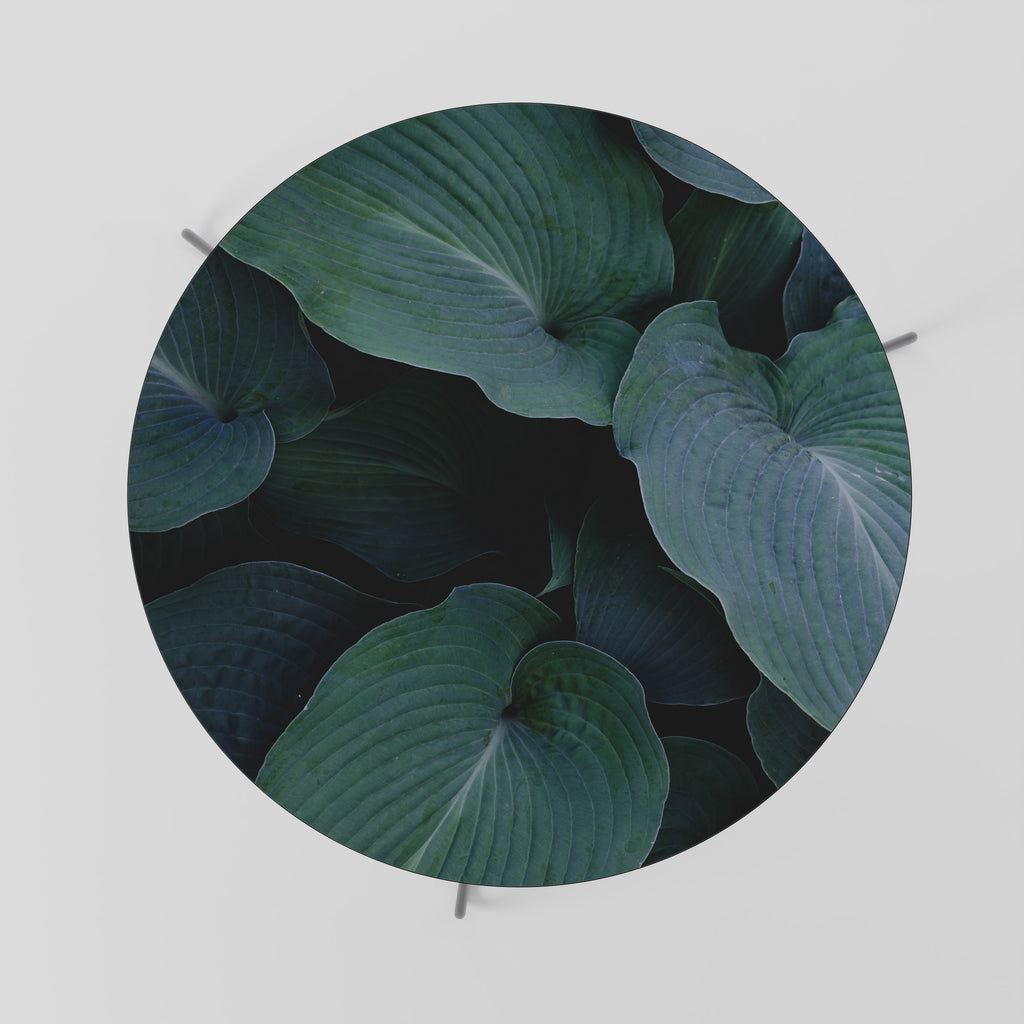 ENCHANTED FOLIAGE DANCE Konferenční stolek