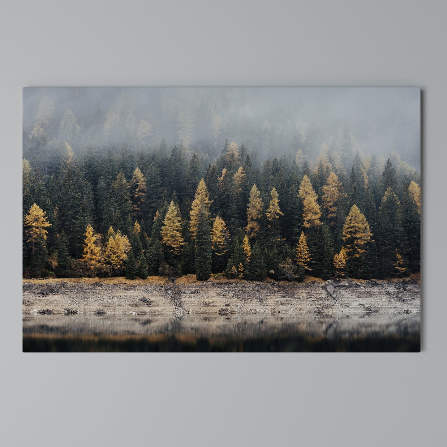 GOLDEN TREES IN FOG Horizontal Canvas Print
