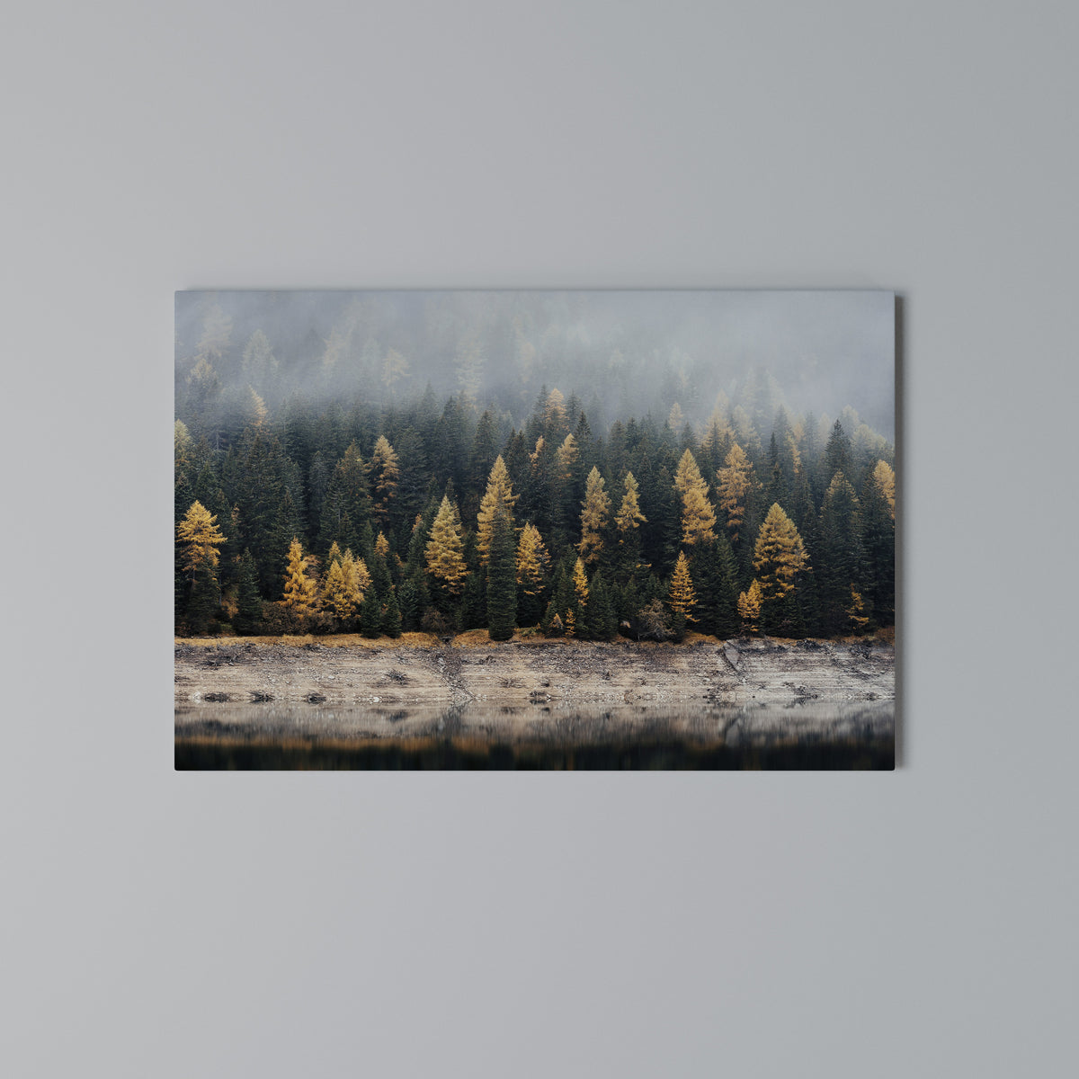 GOLDEN TREES IN FOG Horizontal Canvas Print