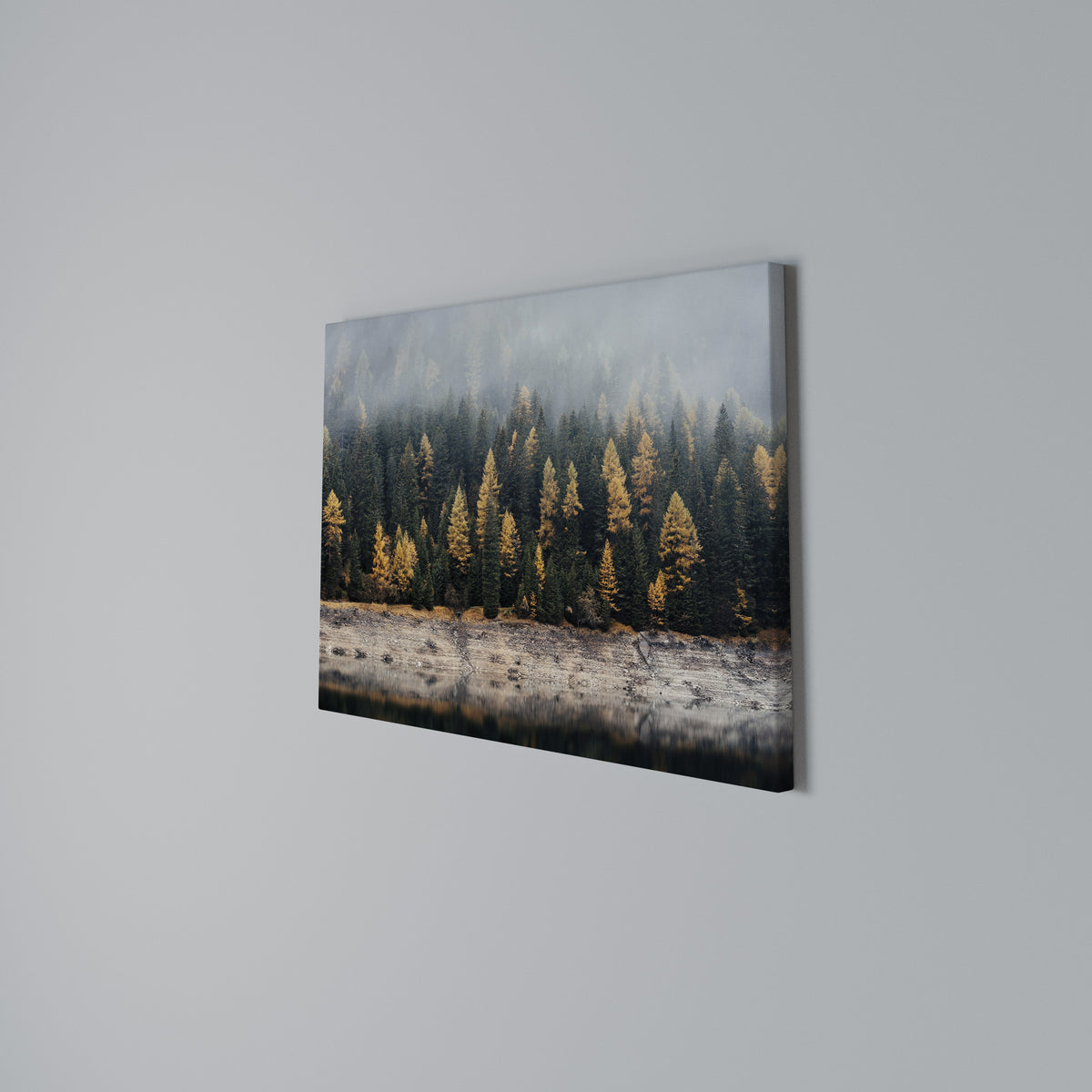 GOLDEN TREES IN FOG Horizontal Canvas Print