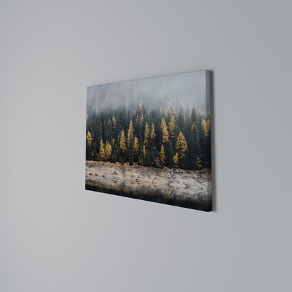 GOLDEN TREES IN FOG Horizontal Canvas Print
