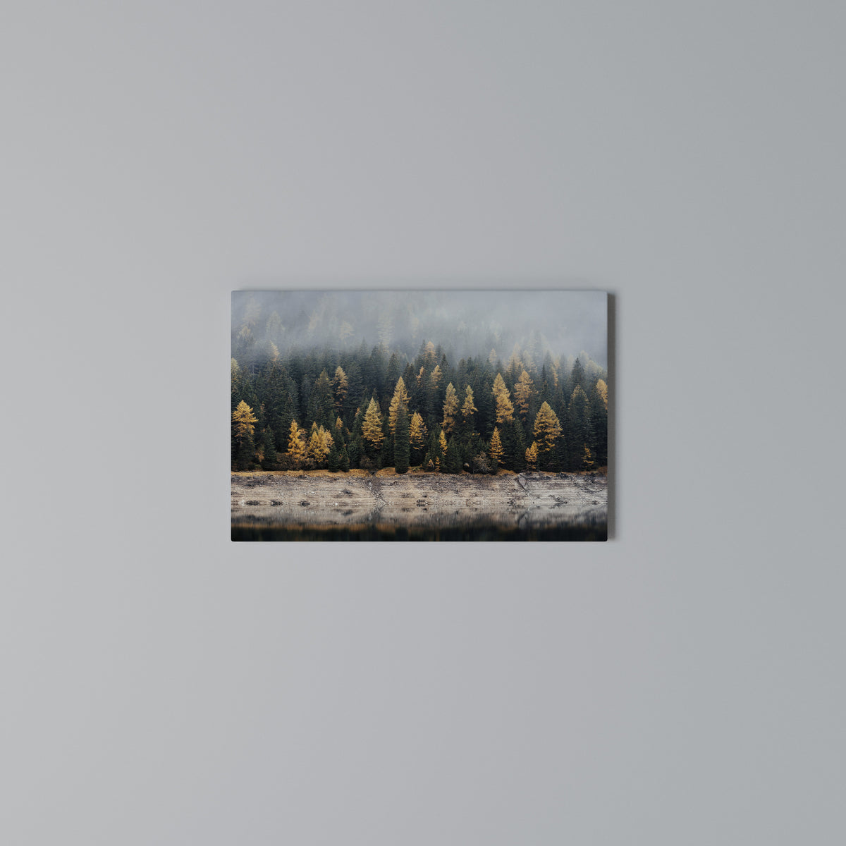 GOLDEN TREES IN FOG Horizontal Canvas Print
