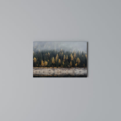 GOLDEN TREES IN FOG Horizontal Canvas Print