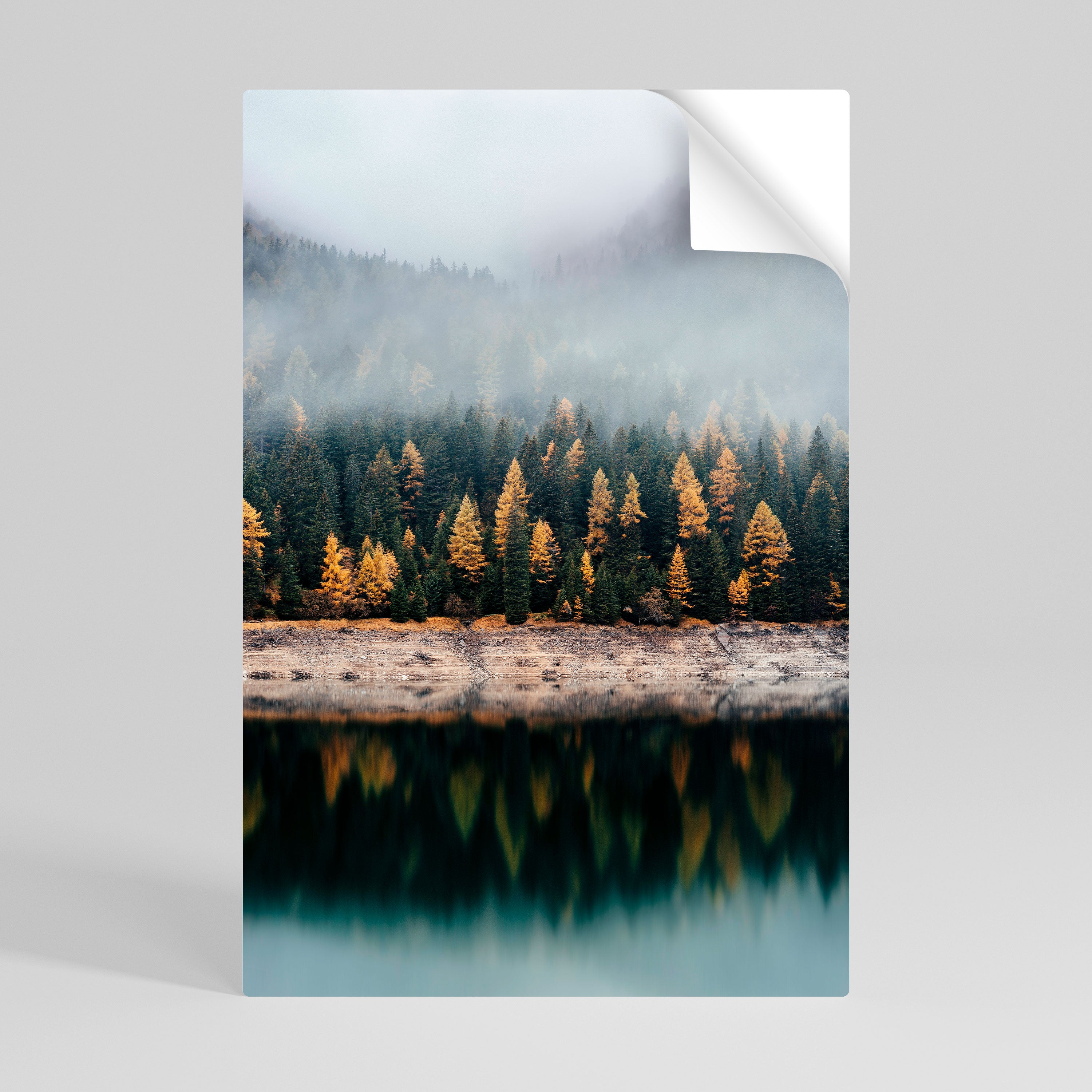 GOLDEN TREES IN FOG Peel and Stick Vertical Poster
