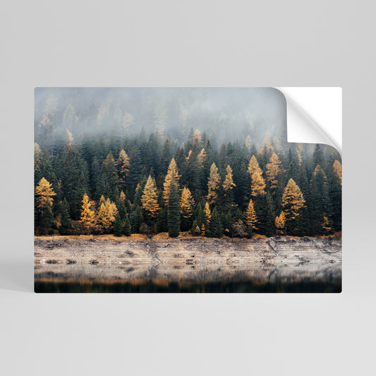GOLDEN TREES IN FOG Vodorovný samolepicí plakát