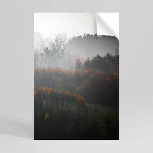 AUTUMNAL HAZE Svislý samolepicí plakát