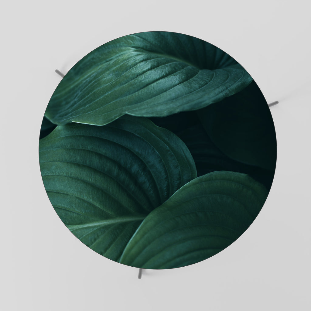 SUBTLE BOTANICAL HUES Konferenční stolek