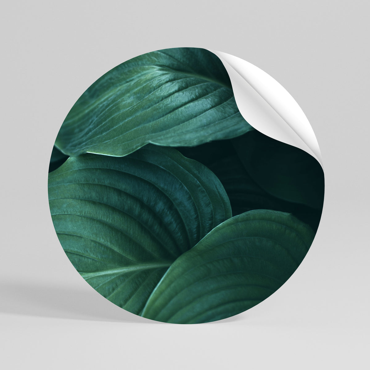 SUBTLE BOTANICAL HUES Kulatá samolepka
