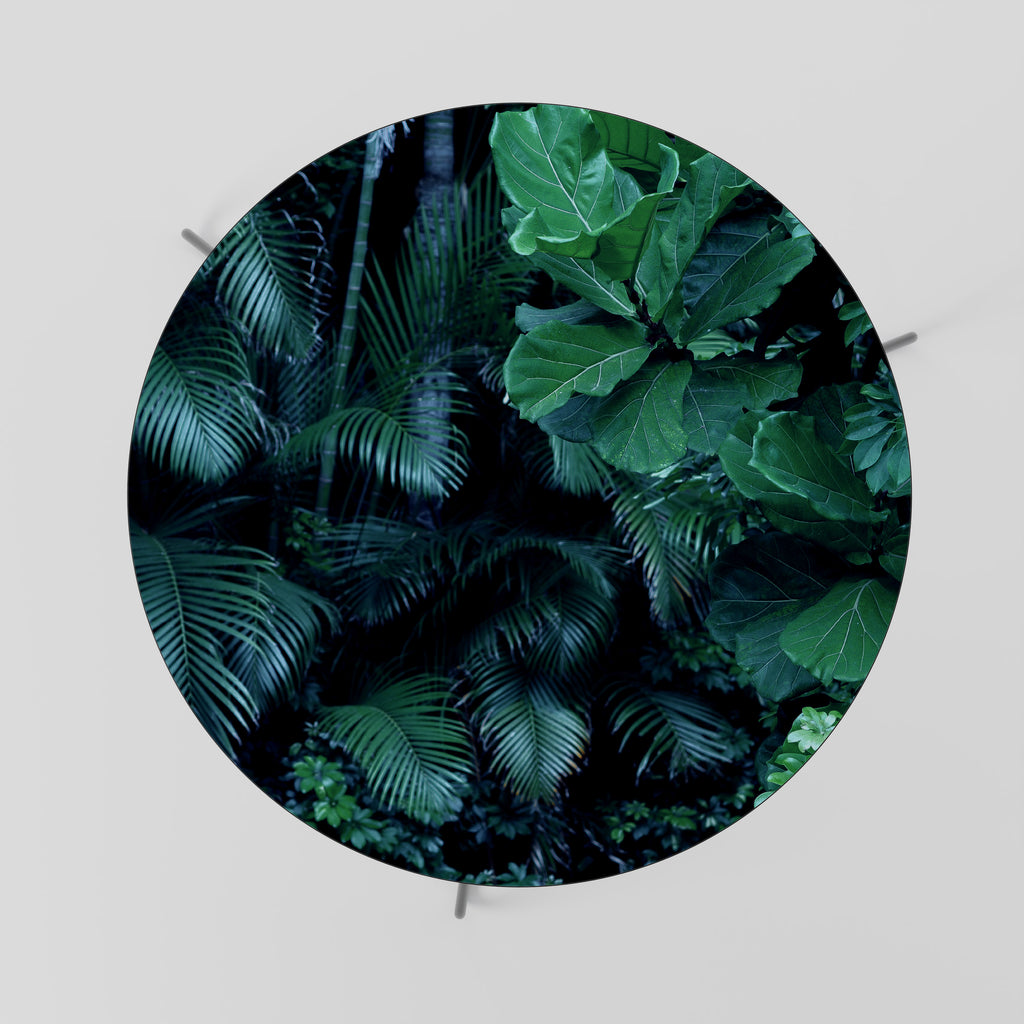 DEEP JUNGLE SERENADE Konferenční stolek