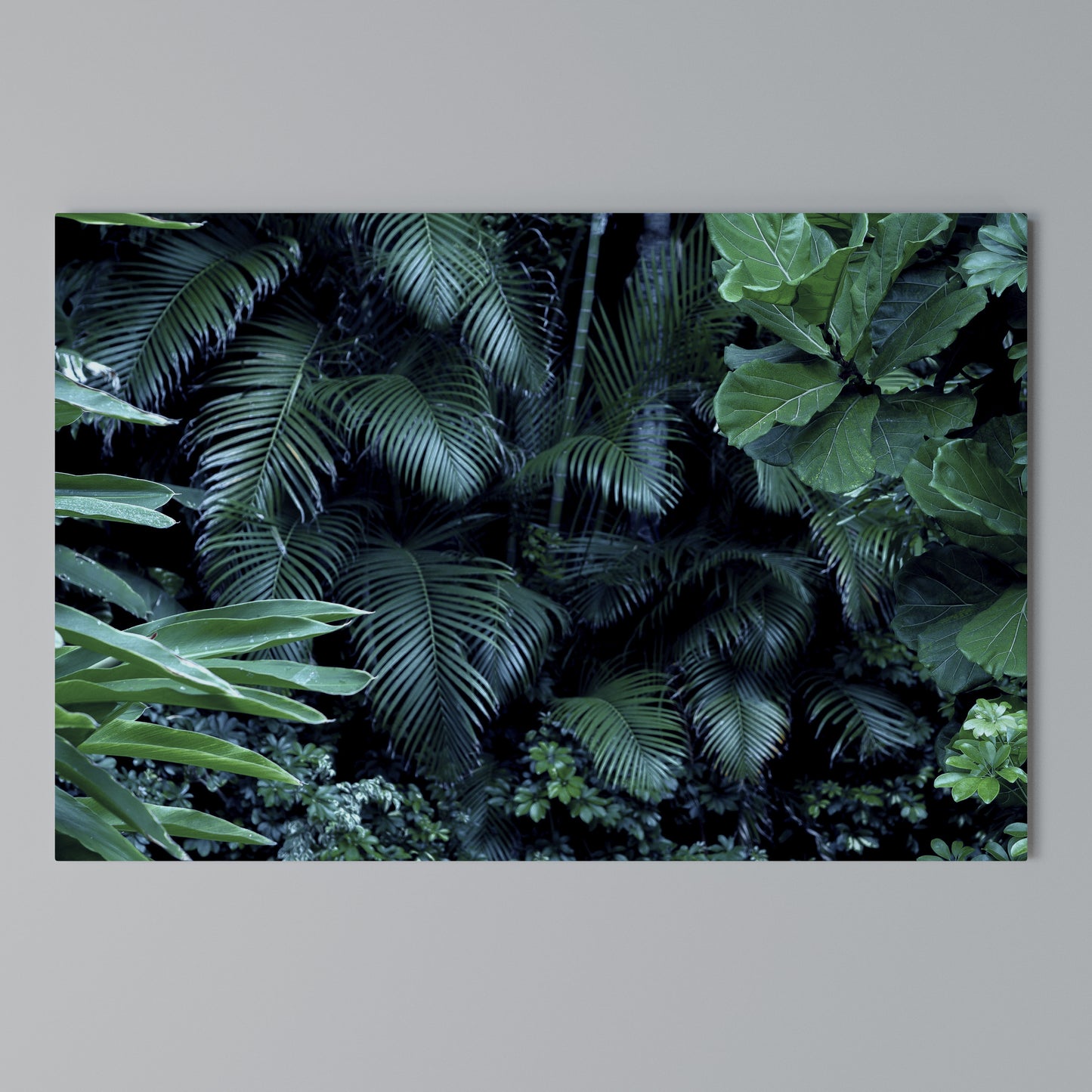 DEEP JUNGLE SERENADE Horizontal Canvas Print