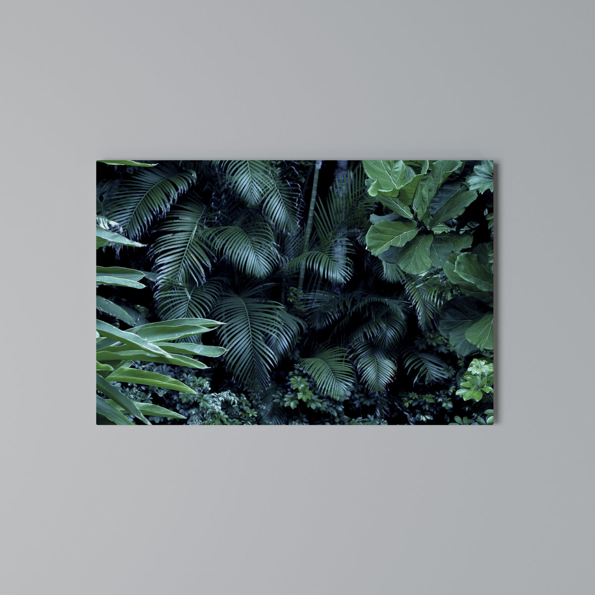 DEEP JUNGLE SERENADE Horizontal Canvas Print