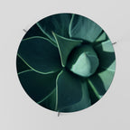 MYSTICAL GREEN WHORL Konferenční stolek