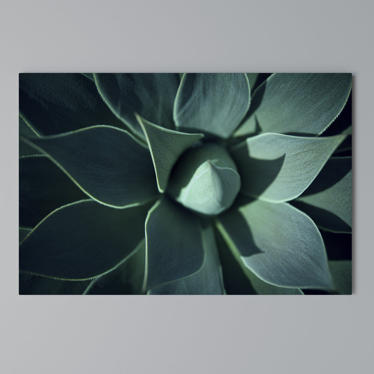MYSTICAL GREEN WHORL Horizontal Canvas Print