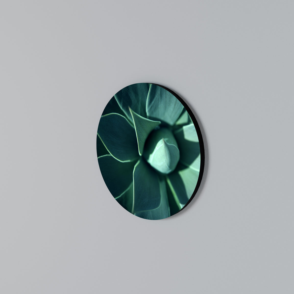 MYSTICAL GREEN WHORL Kulatá nástěnná dekorace