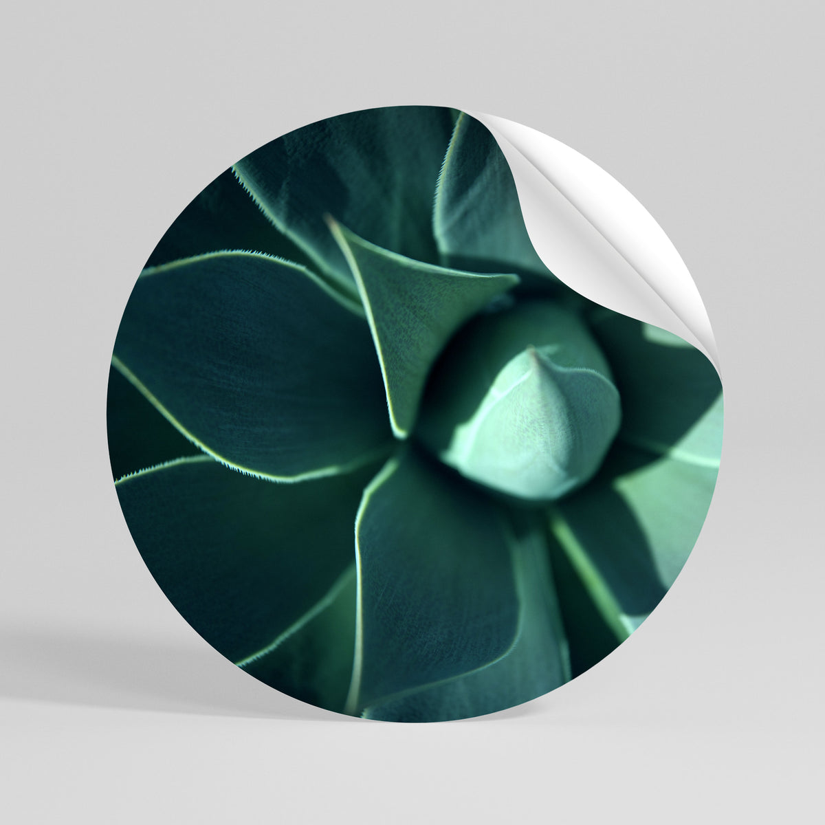 MYSTICAL GREEN WHORL Kulatá samolepka