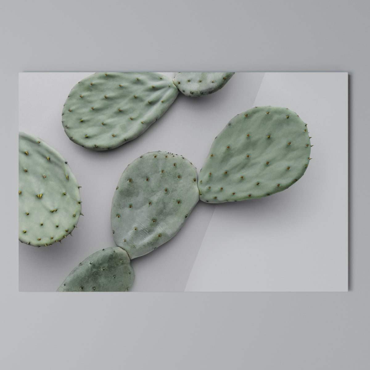 CACTUS DREAMSCAPE Horizontal Canvas Print