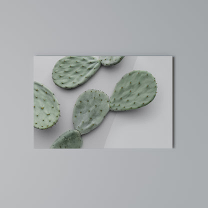 CACTUS DREAMSCAPE Horizontal Canvas Print