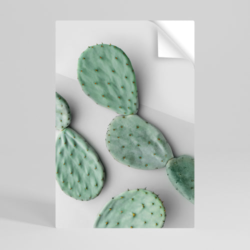 CACTUS DREAMSCAPE Svislý samolepicí plakát