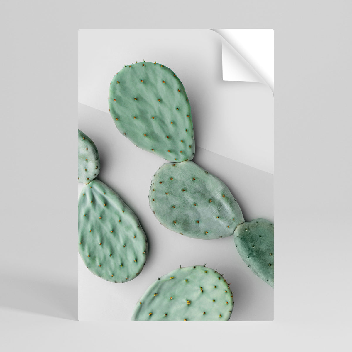 CACTUS DREAMSCAPE Svislý samolepicí plakát