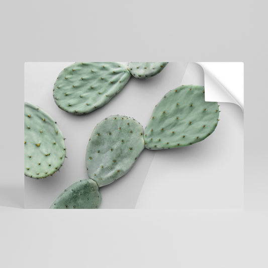 CACTUS DREAMSCAPE Vodorovný samolepicí plakát