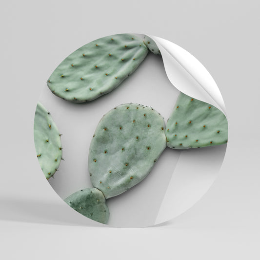 CACTUS DREAMSCAPE Kulatá samolepka
