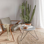 SILKEN SERENITY Konferenční stolek