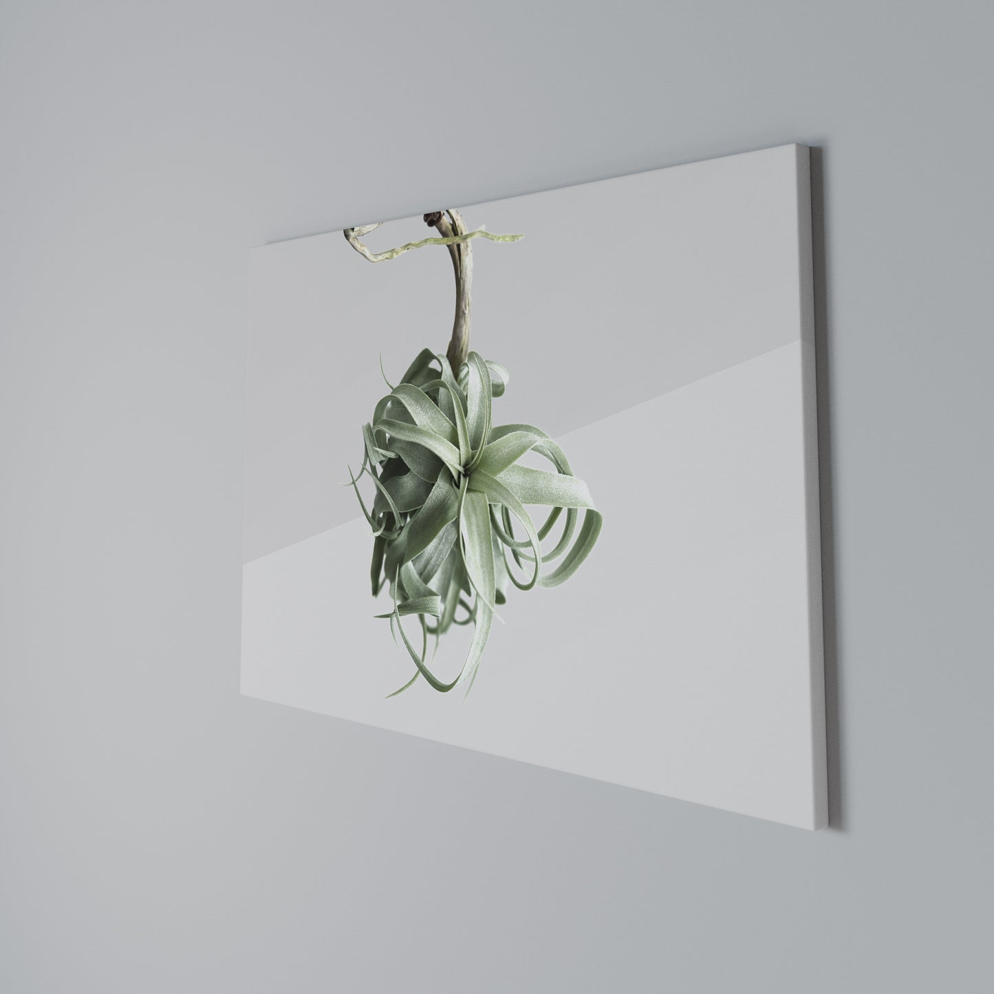 TANGLE OF NATURE Horizontal Canvas Print