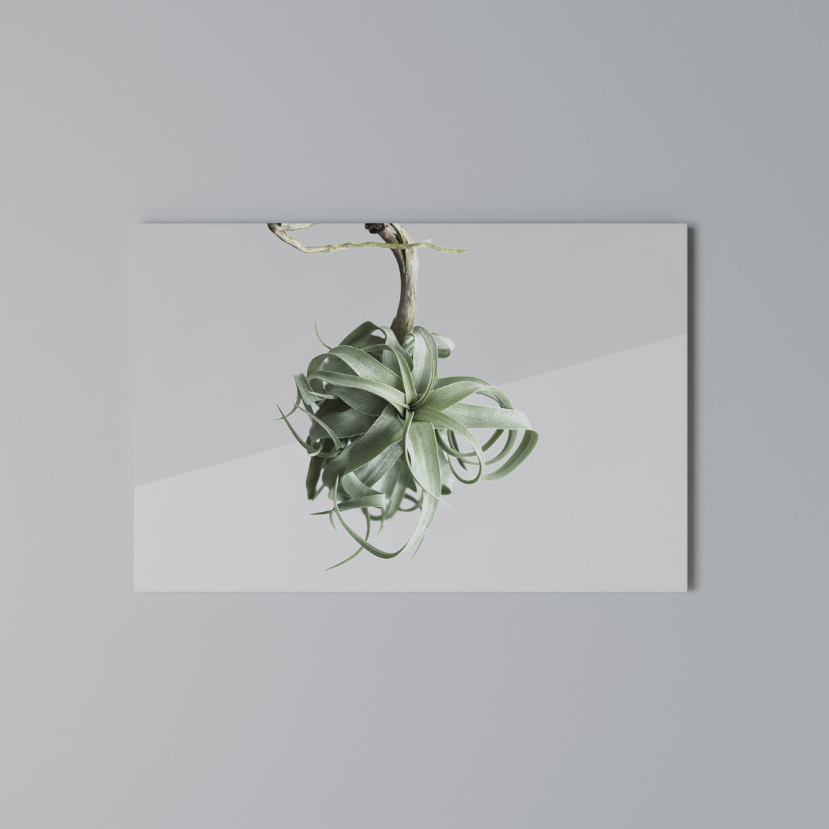 TANGLE OF NATURE Horizontal Canvas Print