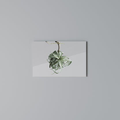 TANGLE OF NATURE Horizontal Canvas Print