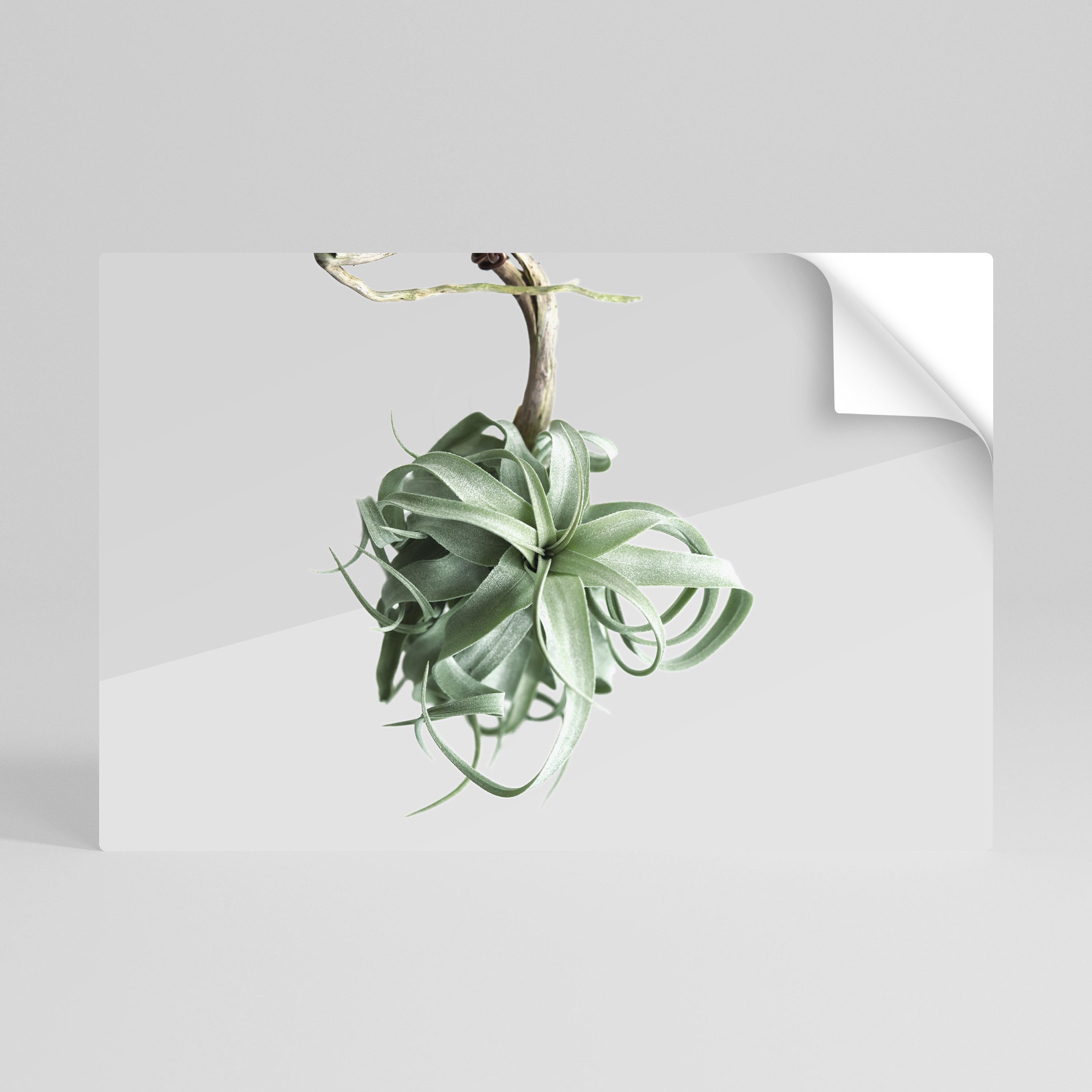 TANGLE OF NATURE Peel and Stick Horizontal Poster