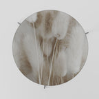 SOFTNESS IN FOCUS Coffee Table