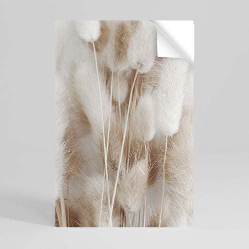 SOFTNESS IN FOCUS Svislý samolepicí plakát