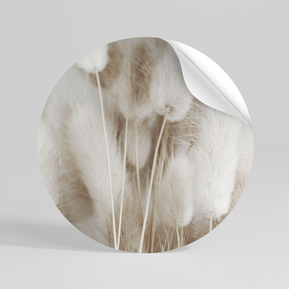 SOFTNESS IN FOCUS Kulatá samolepka