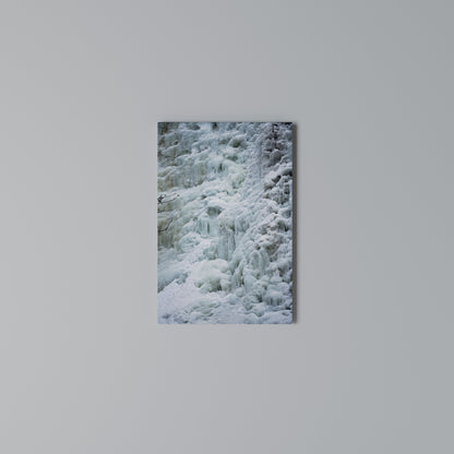 FROSTED WHISPERS Vertical Canvas Print
