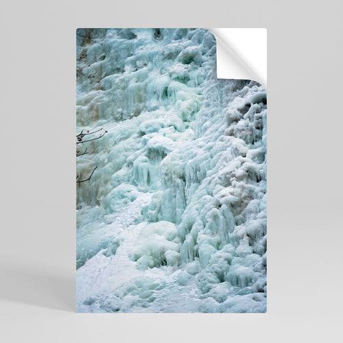 FROSTED WHISPERS Svislý samolepicí plakát