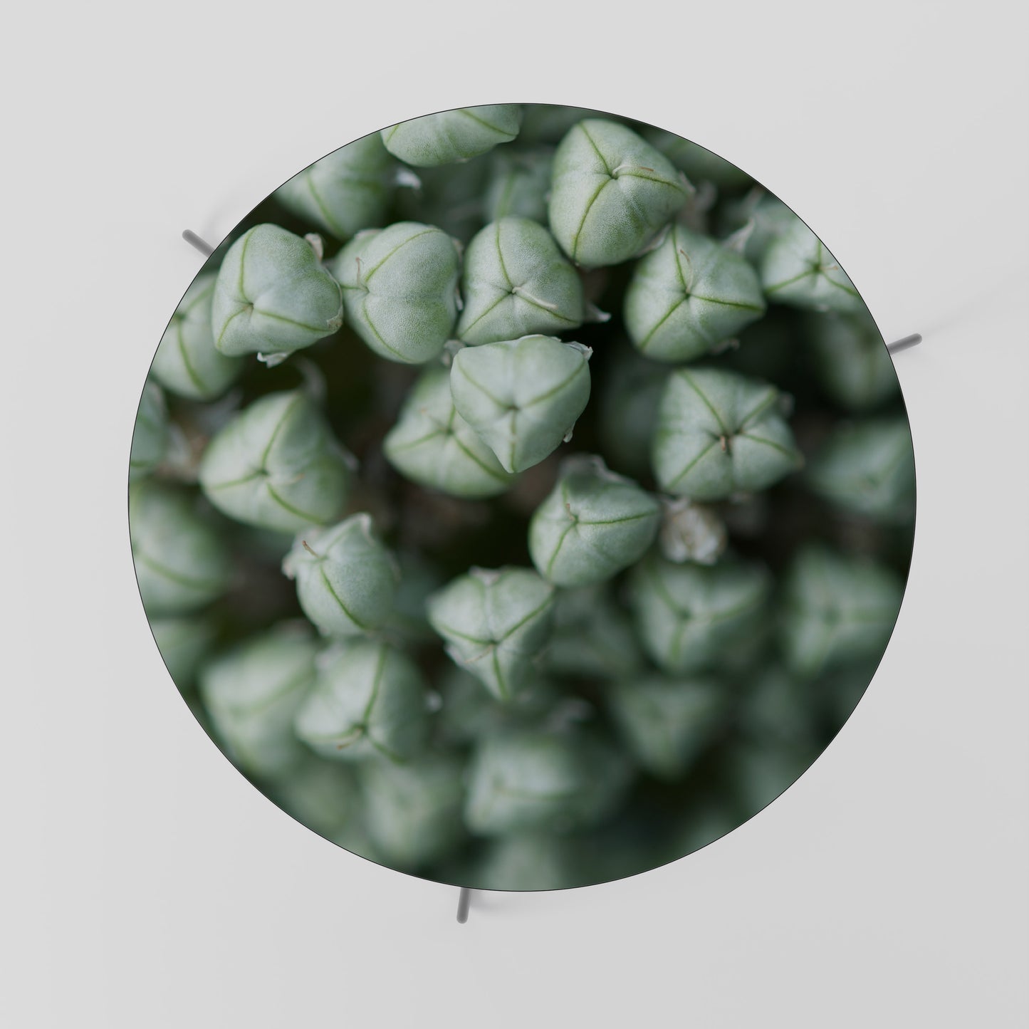 TEXTURED GREEN TIDBITS Konferenční stolek