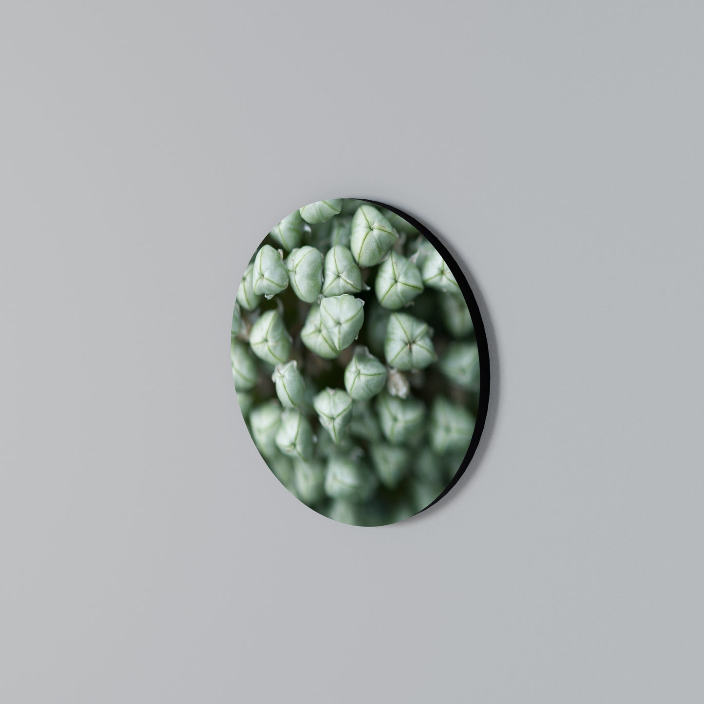TEXTURED GREEN TIDBITS Kulatá nástěnná dekorace