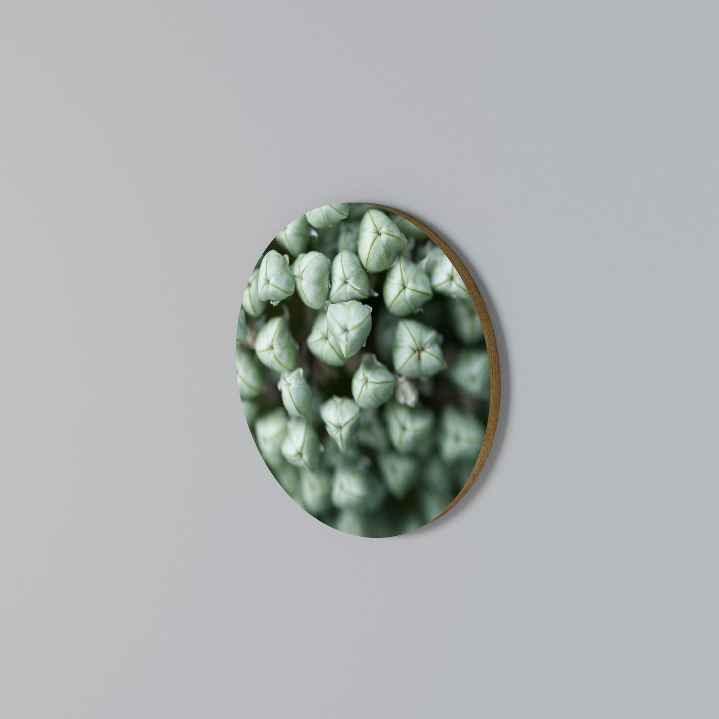 TEXTURED GREEN TIDBITS Kulatá nástěnná dekorace