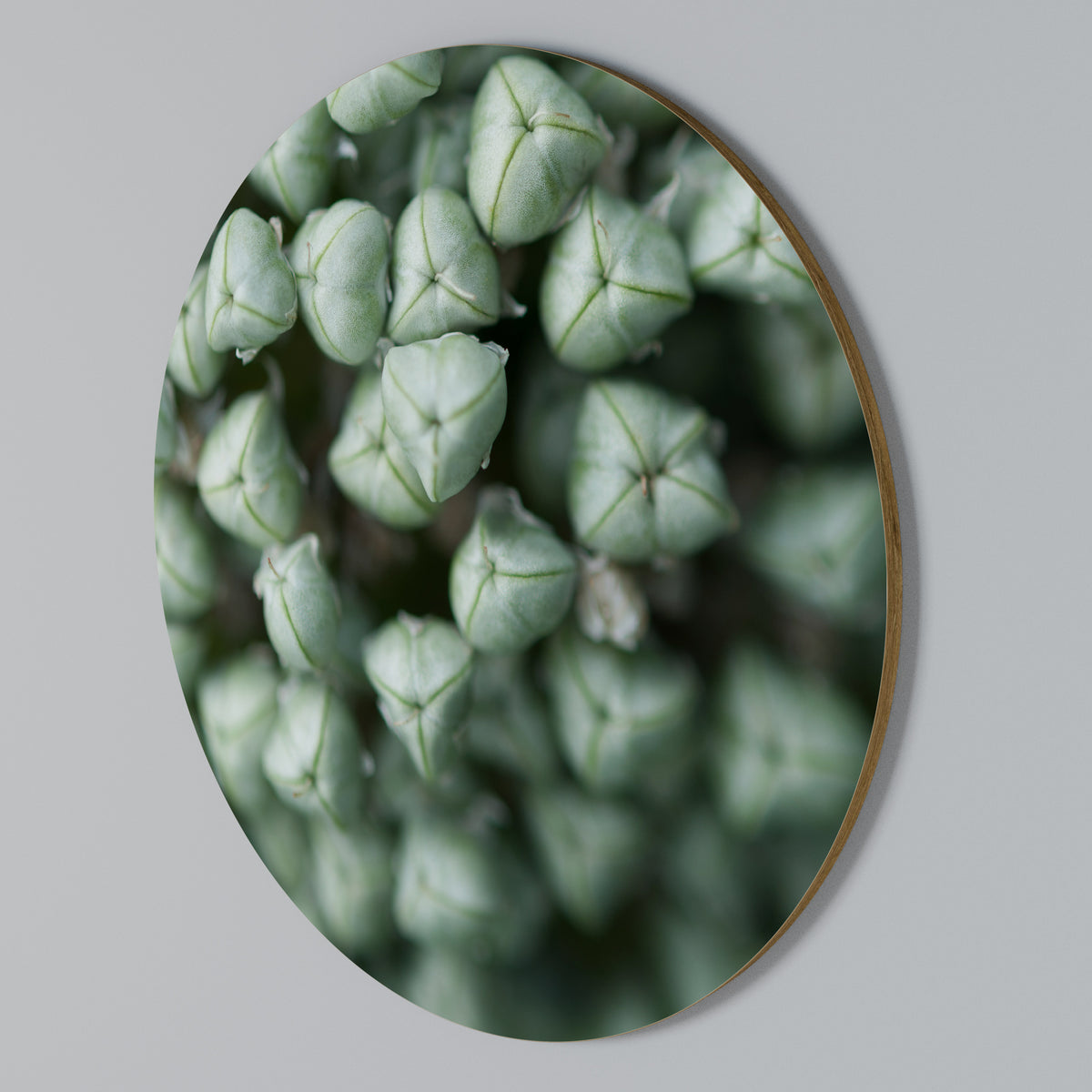 TEXTURED GREEN TIDBITS Kulatá nástěnná dekorace