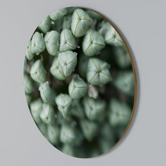 TEXTURED GREEN TIDBITS Kulatá nástěnná dekorace