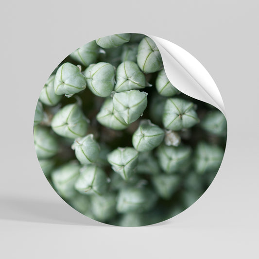 TEXTURED GREEN TIDBITS Kulatá samolepka