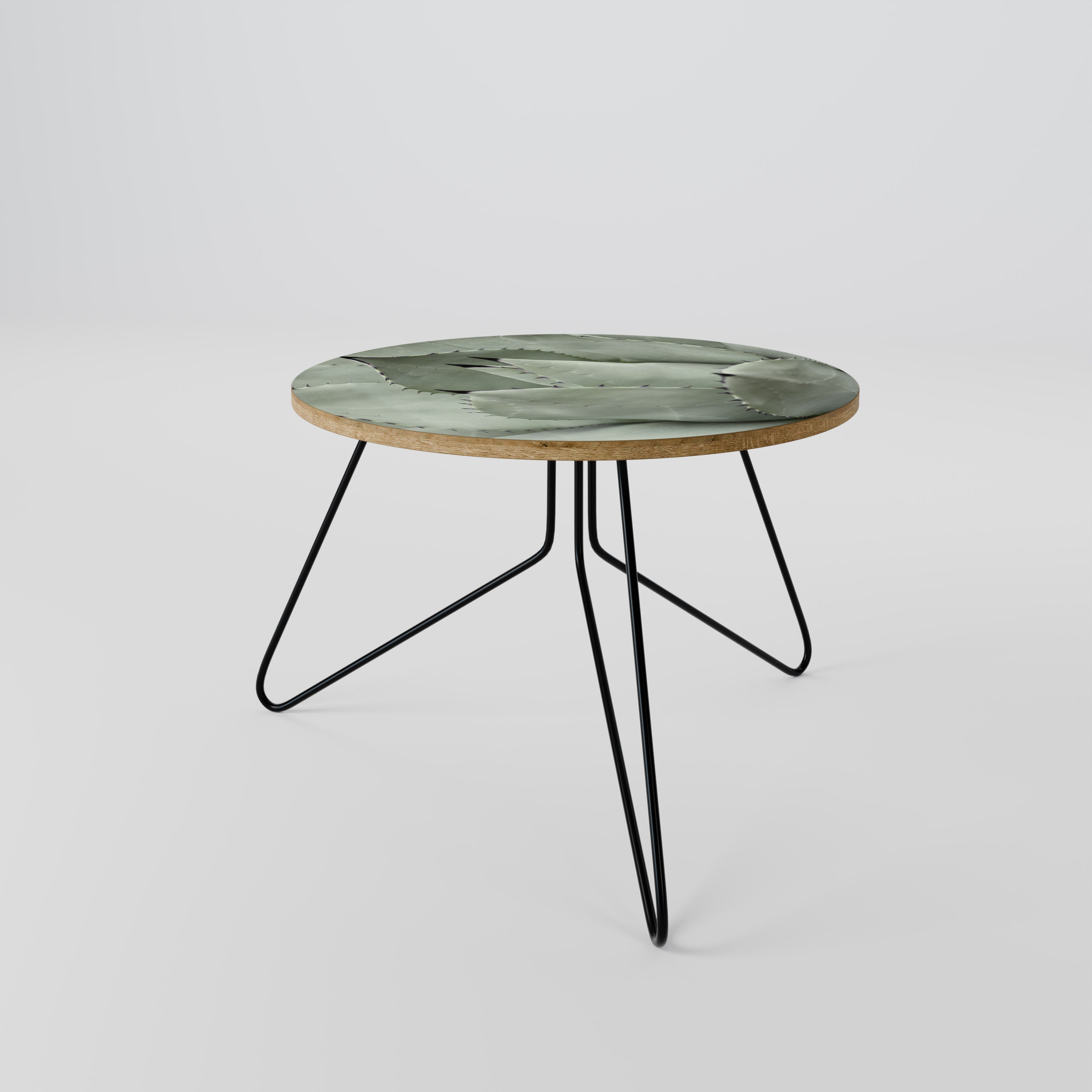 MYSTICAL SUCCULENT DREAM Konferenční stolek