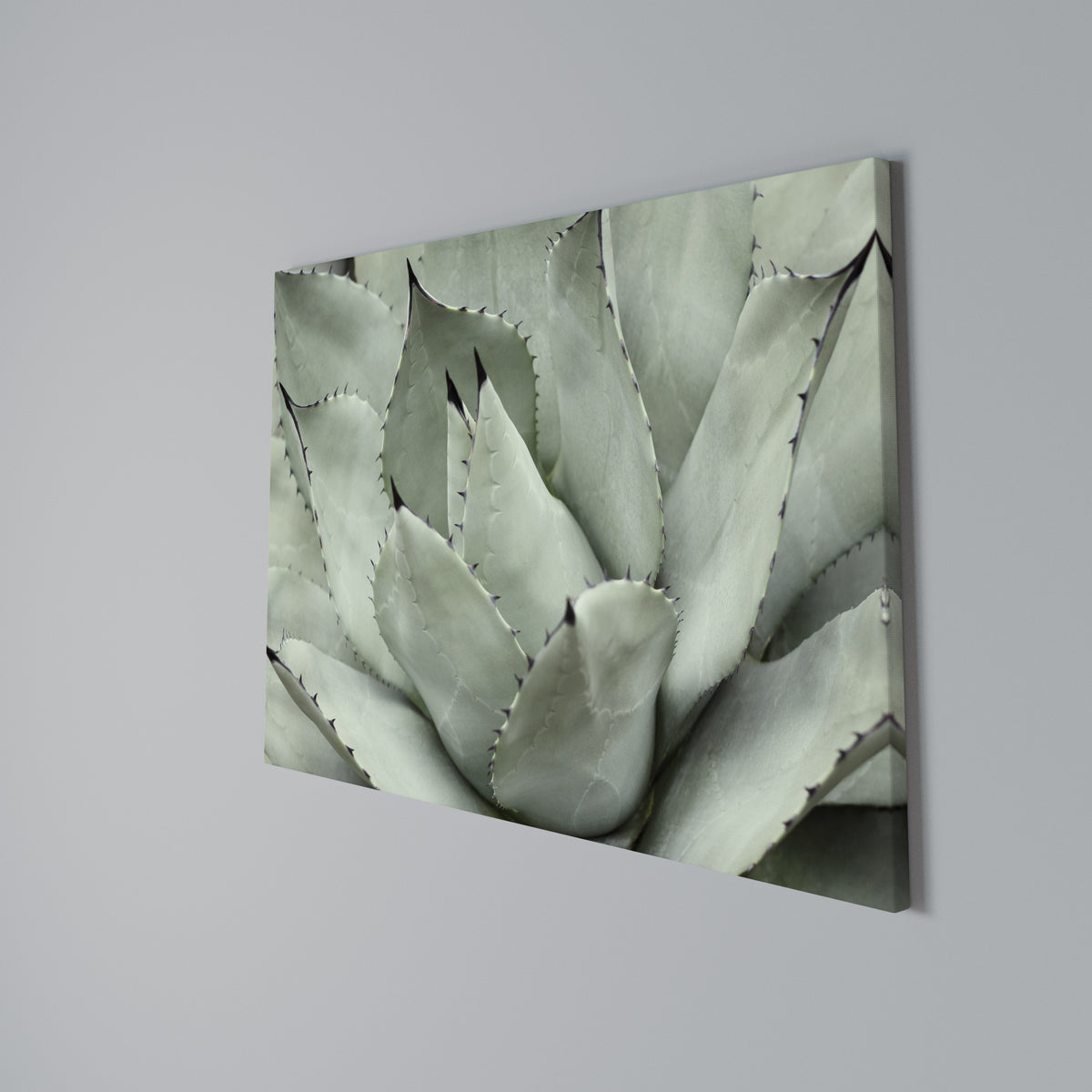 MYSTICAL SUCCULENT DREAM Horizontal Canvas Print