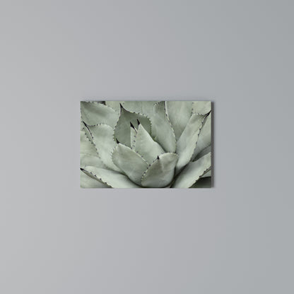 MYSTICAL SUCCULENT DREAM Horizontal Canvas Print