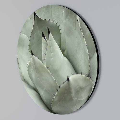 MYSTICAL SUCCULENT DREAM Round Wall Art