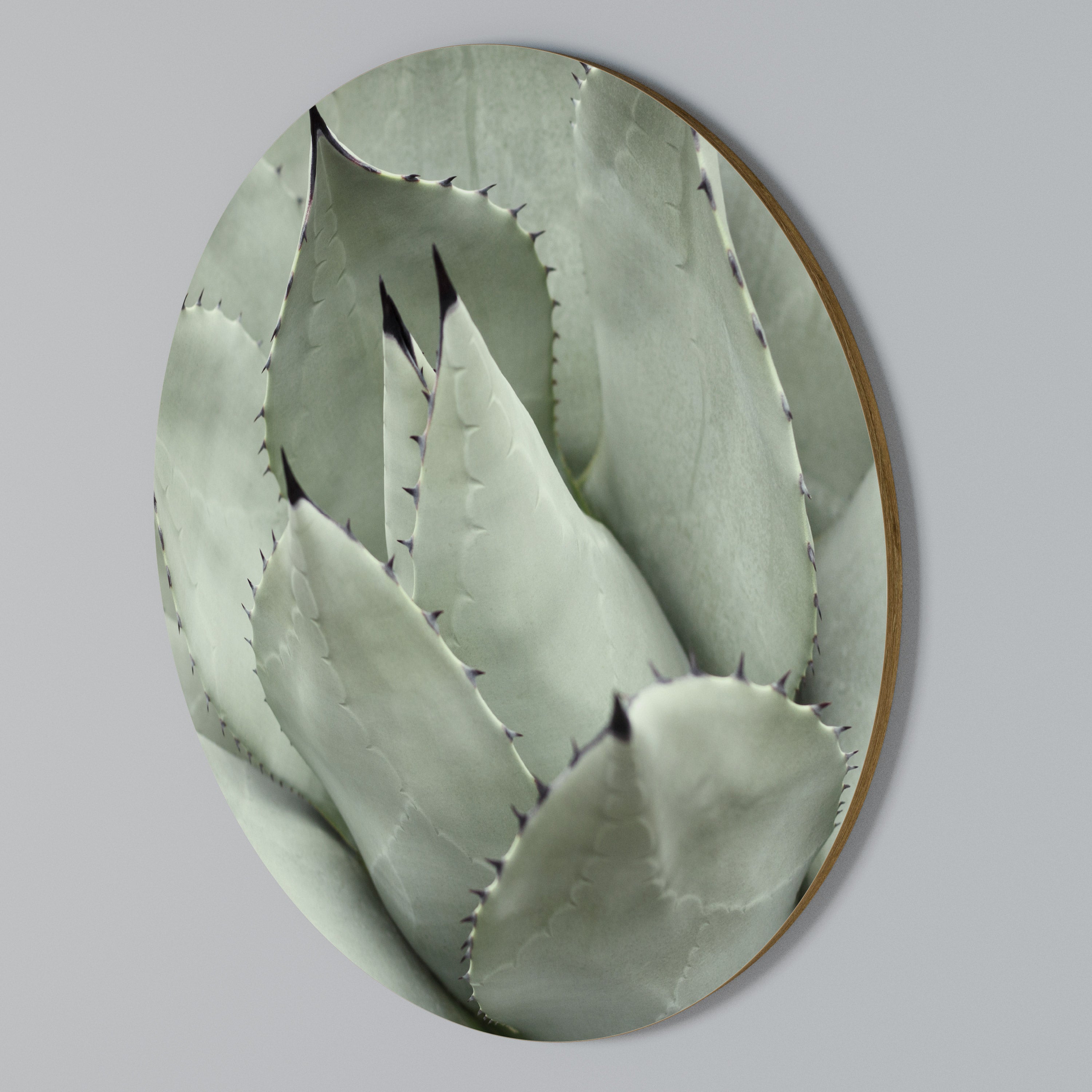 MYSTICAL SUCCULENT DREAM Round Wall Art