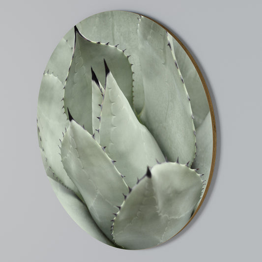 MYSTICAL SUCCULENT DREAM Kulatá nástěnná dekorace