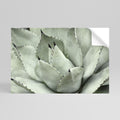 MYSTICAL SUCCULENT DREAM Peel and Stick Horizontal Poster