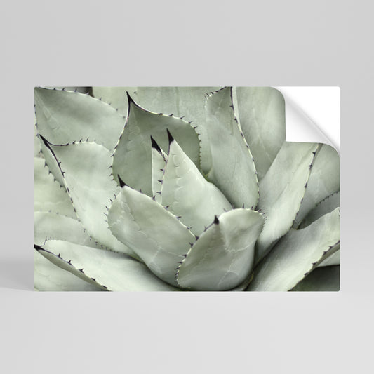 MYSTICAL SUCCULENT DREAM Vodorovný samolepicí plakát
