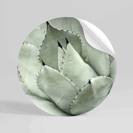 MYSTICAL SUCCULENT DREAM Kulatá samolepka
